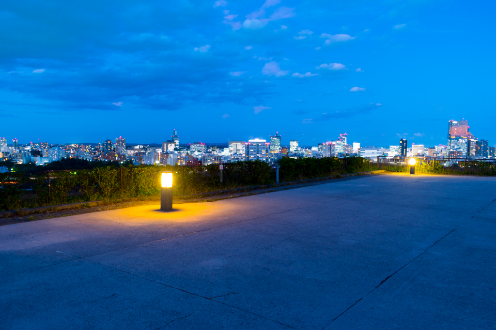 仙台城公園の夜景