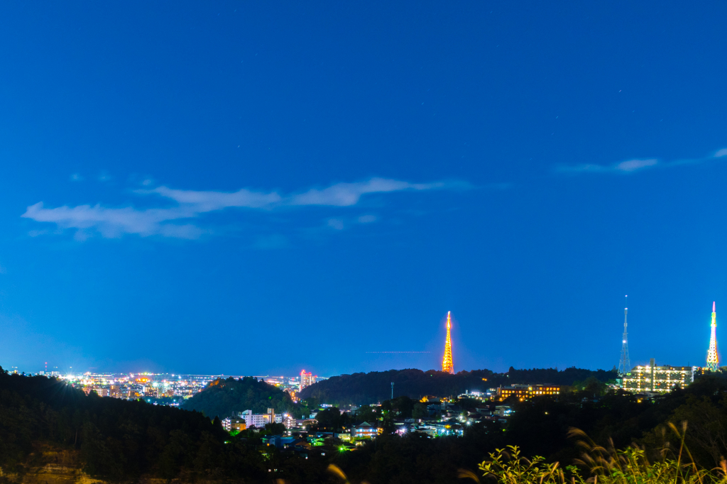 仙台城からの夜景